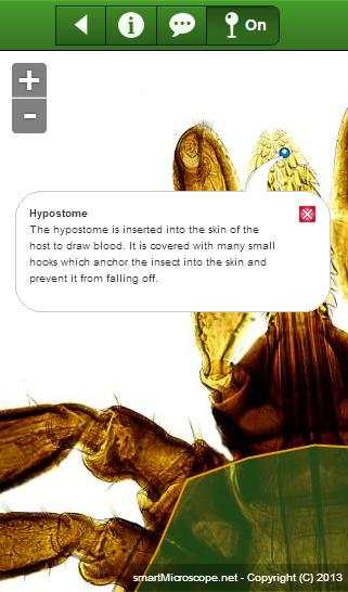 smart Microscope Lite screenshot 3