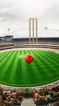 Howzzaaat! Cricket Lock Screen screenshot 3