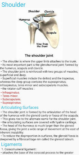 Human Anatomy E Theories screenshot 15