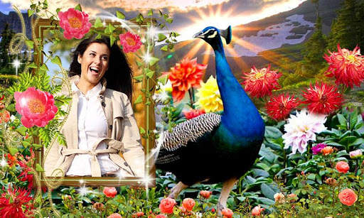Peacock Photo Frames HD screenshot 11