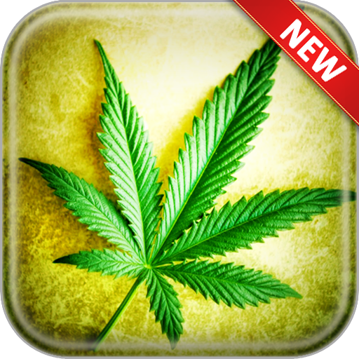 Weed Wallpapers icon