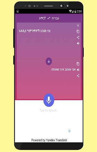 Hebrew-Amharic Translator screenshot 2