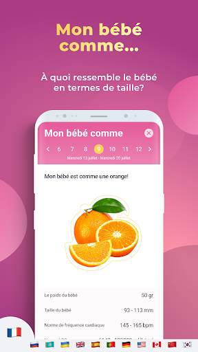 Calendrier de grossesse: Le suivi de ma grossesse screenshot 3