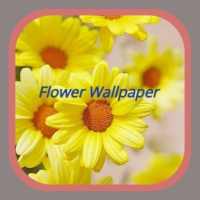 Flower Wallpaper