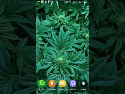 Weed Live Wallpaper screenshot 1