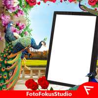 Peacock Insta DP أيقونة
