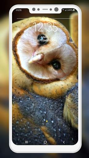 Bird Wallpaper 4 تصوير الشاشة