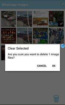 Cleen WhatsApp screenshot 4
