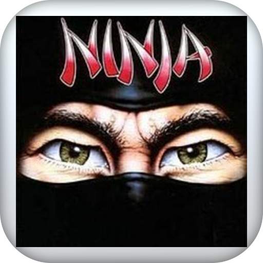 The Last Ninja 2