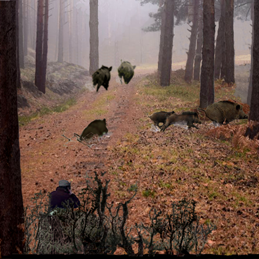 Wild Boar Hunting2 icon