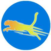 Cheetah Browser 11.0