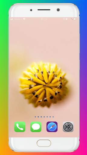 Macro Wallpaper HD screenshot 7