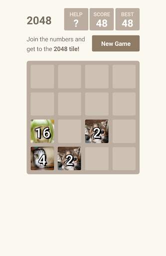 2048 Cat Puzzle Brain Games screenshot 2