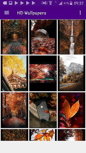 HD Wallpapers Offline screenshot 4
