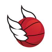 Flappy Dunk Hot 2017