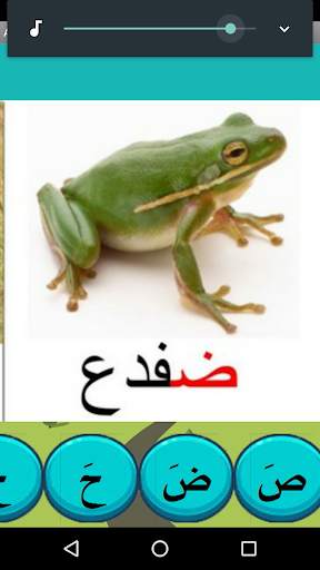 offline arabic courses screenshot 5