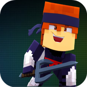 Ninja Craft icon