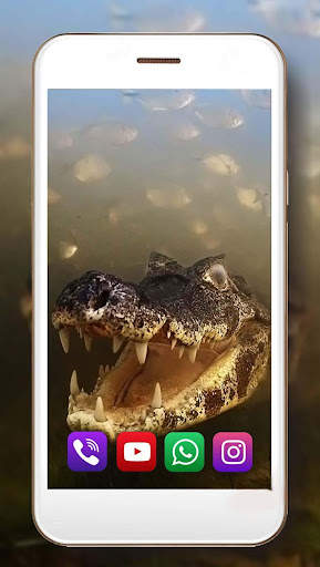 Crocodiles live wallpaper screenshot 5