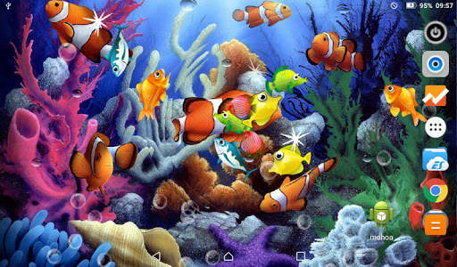 Koi Fish Live Wallpaper screenshot 2