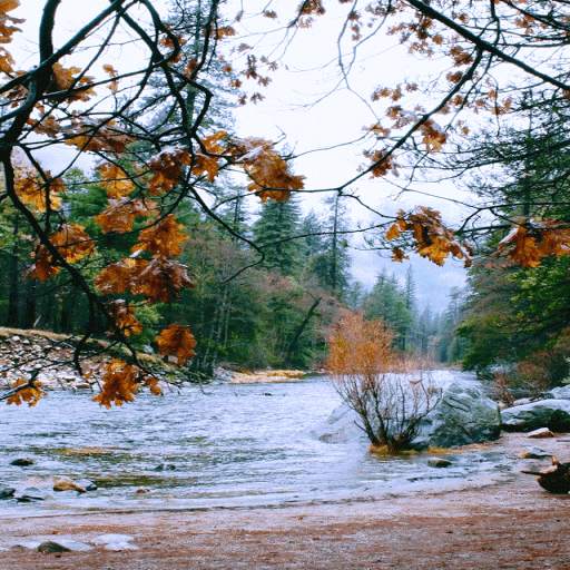 Autumn River Live Wallpaper 3