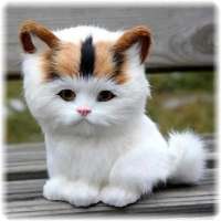 Cat Puzzle
