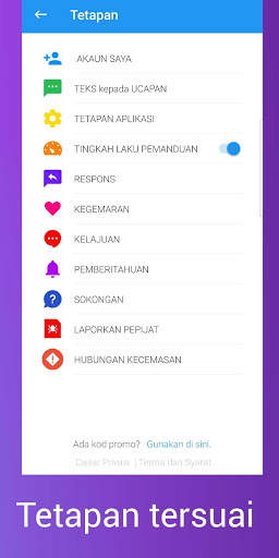 ping: Teks ke Ucapan: Teks, E-mel dibaca lisan! screenshot 5