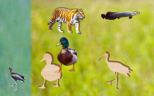 Puzzle Game for Kids Animals and Birds, Full Game screenshot 5