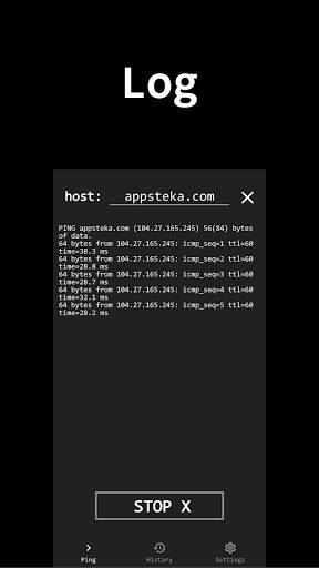 Ping screenshot 2