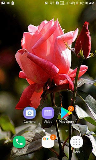 Rosebud Live Wallpaper screenshot 2