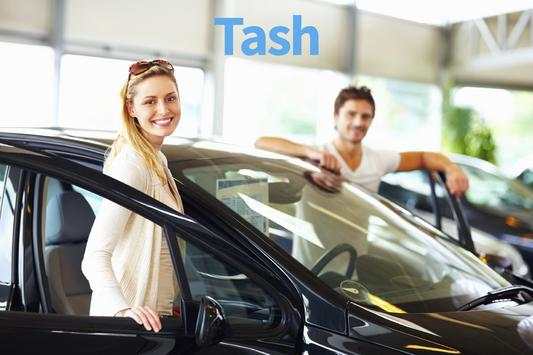 Tash Wash screenshot 5