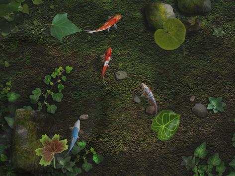 Water Koi Fish Pond LWP screenshot 2