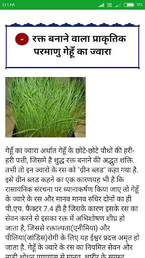 Ayurvedic Plants & Herbs Information In Hindi screenshot 3