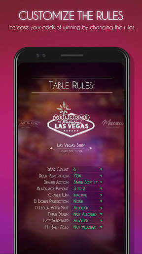 Blackjack! ♠️ Free Black Jack  screenshot 22