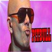 Pitbull Song 1.1.6