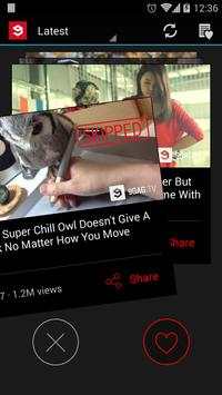 9GAG TV screenshot 3