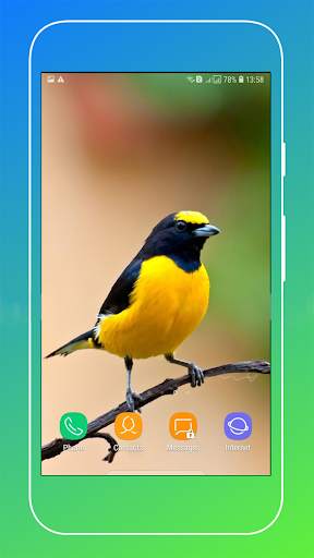 Bird Wallpaper screenshot 16
