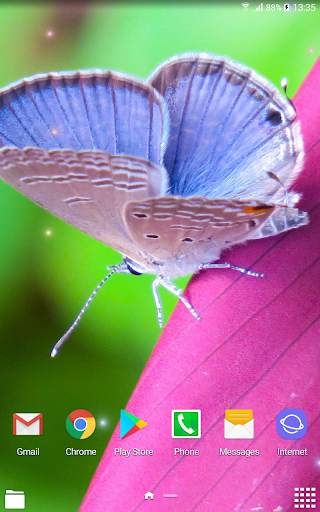 Beautiful Summer HD Wallpapers 7 تصوير الشاشة