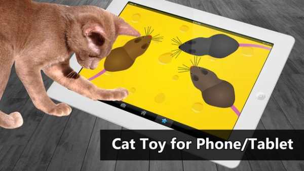 Cat Toys - MouseHunt Cat Games скриншот 1