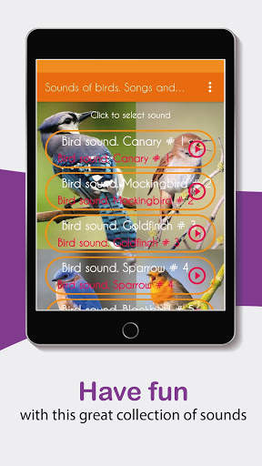 Sounds of birds. Songs and bird tones. screenshot 7