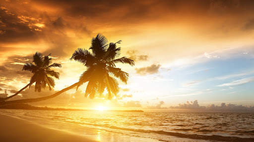 Beach Live Wallpaper (Wallpapers & Backgrounds) screenshot 13