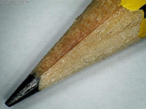 MICROSCOPIO FOTOS screenshot 2