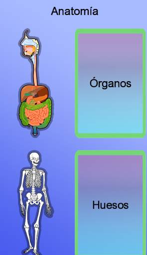 Anatomía screenshot 2