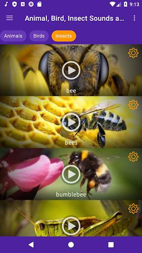Animal, Bird, Insect Sounds and Ringtones screenshot 6