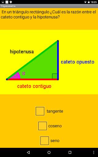 Test trigonometria screenshot 5