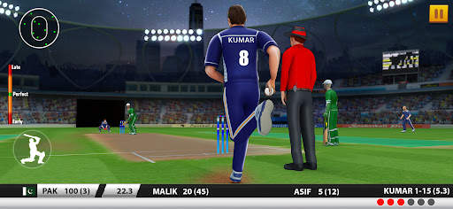 World Cricket Games :T20 Cup screenshot 8