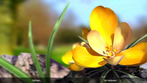 Nature Live ❁ Spring Flowers 3D screenshot 5