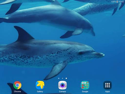 Dolphins Live Wallpaper screenshot 12
