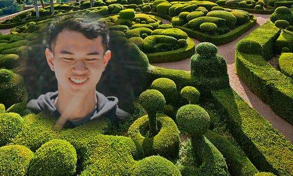 Beautiful Rose Garden Photo Frame Application screenshot 1