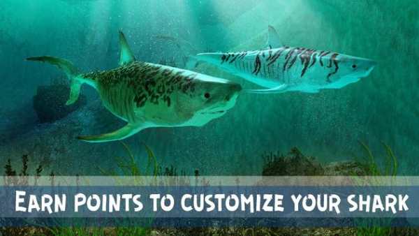 Tiger Shark Attack Simulator screenshot 4