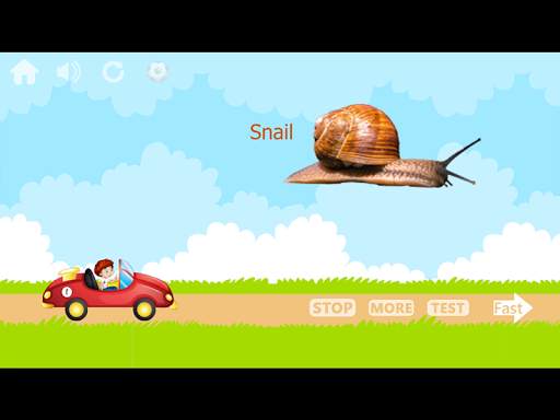 100 Animals and Birds for kids स्क्रीनशॉट 16